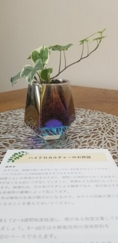 100日が経ちました